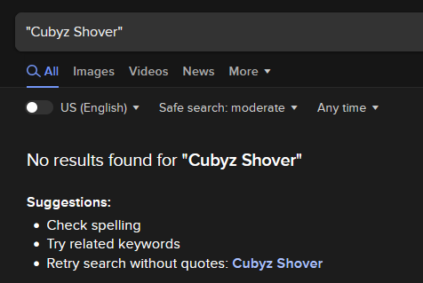 Duck duck go No results found for "Cubyz Shover"